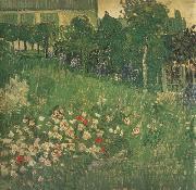 Vincent Van Gogh Daubigny's Garden (nn04) USA oil painting reproduction